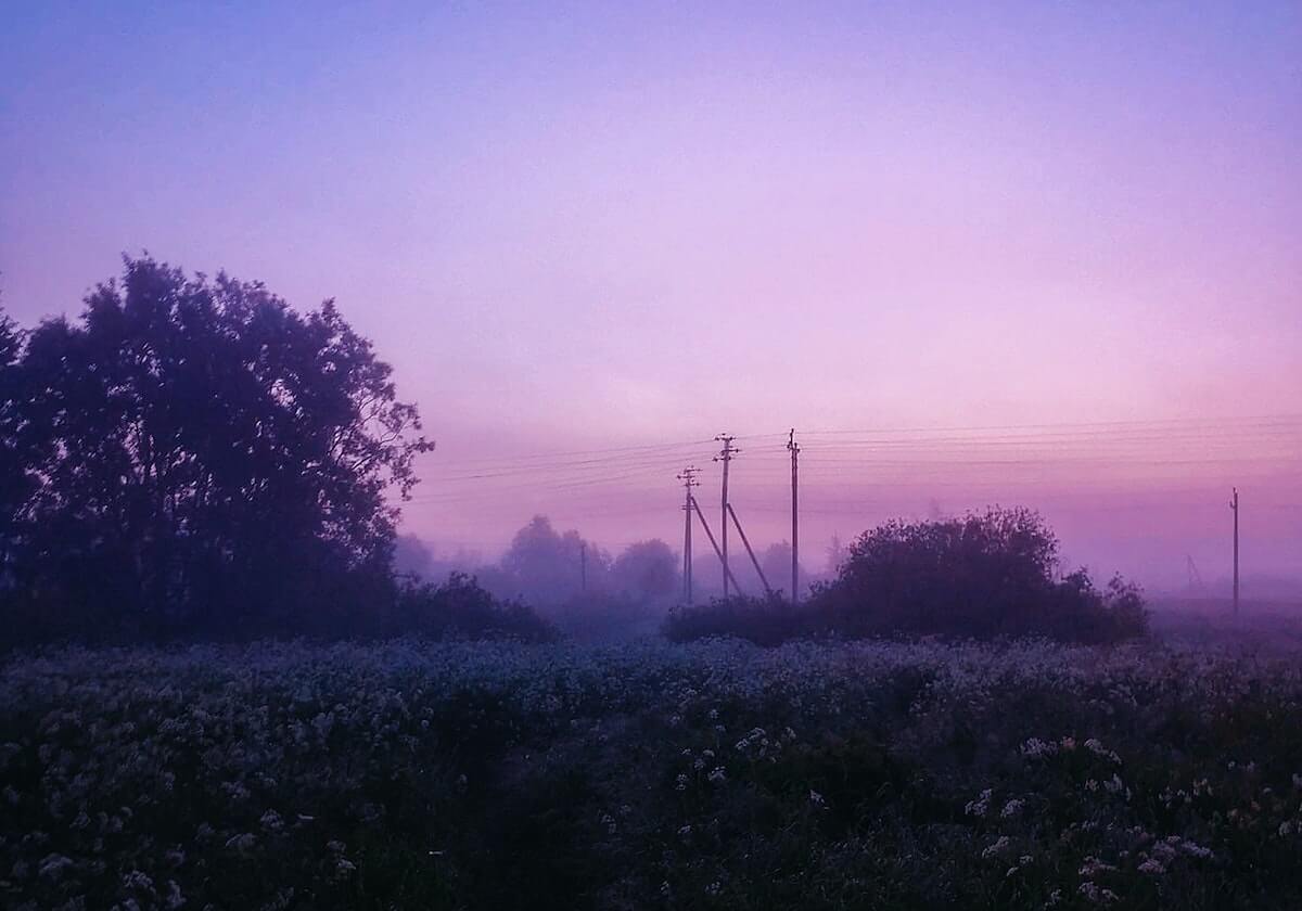 WBG双人种越塔强杀JiaQi拿到一血